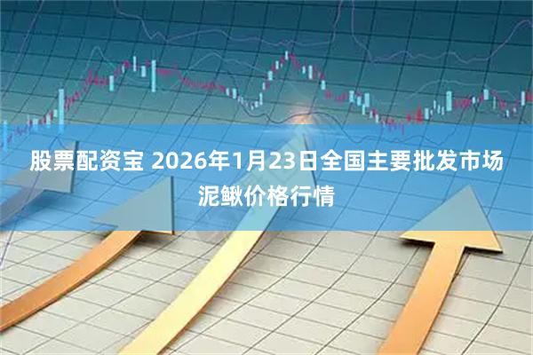 股票配资宝 2026年1月23日全国主要批发市场泥鳅价格行情