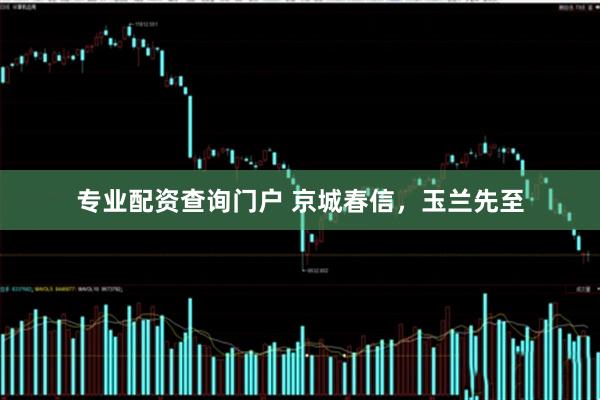 专业配资查询门户 京城春信，玉兰先至
