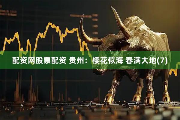 配资网股票配资 贵州：樱花似海 春满大地(7)